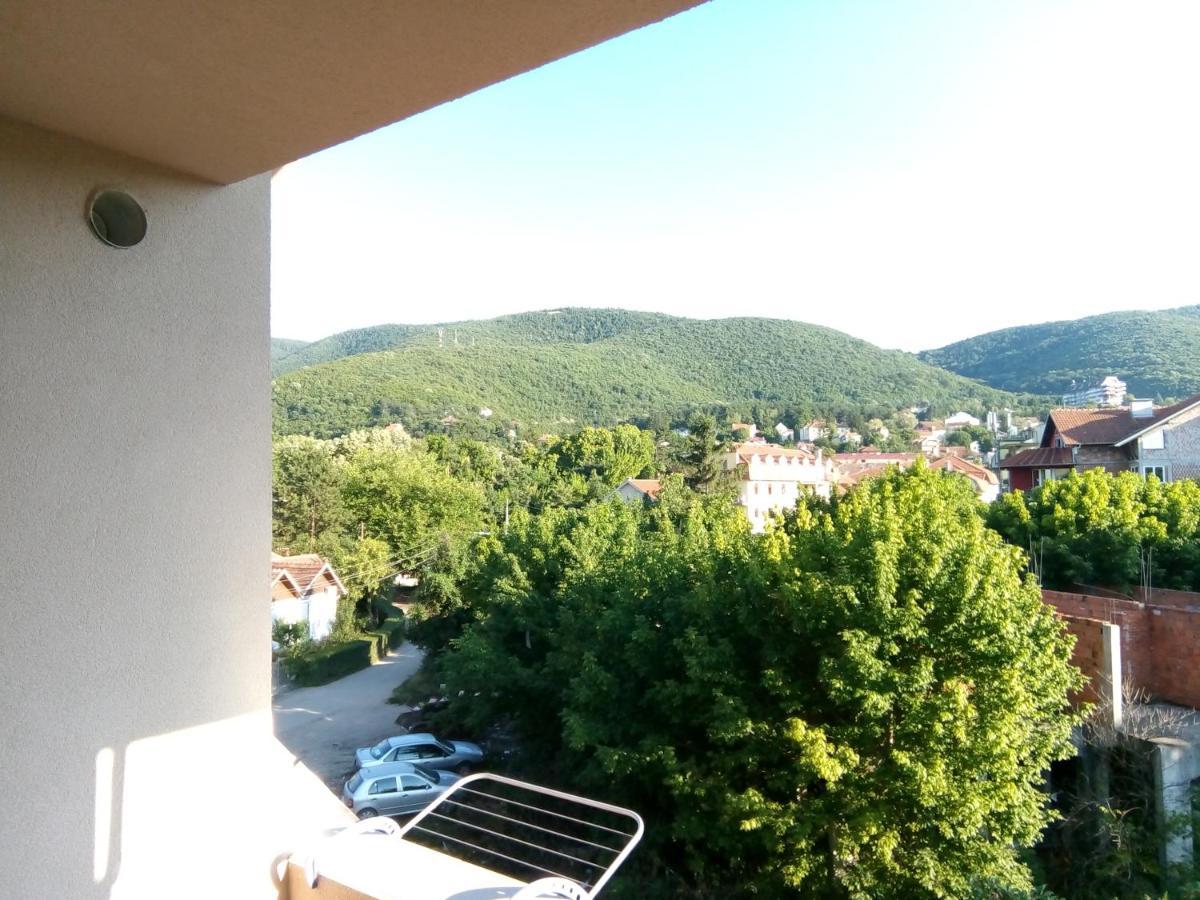 Smestaj Milenkovic Sokobanja Zewnętrze zdjęcie